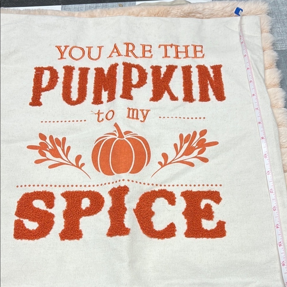 Pumpkin Spice Decorative pillow cover